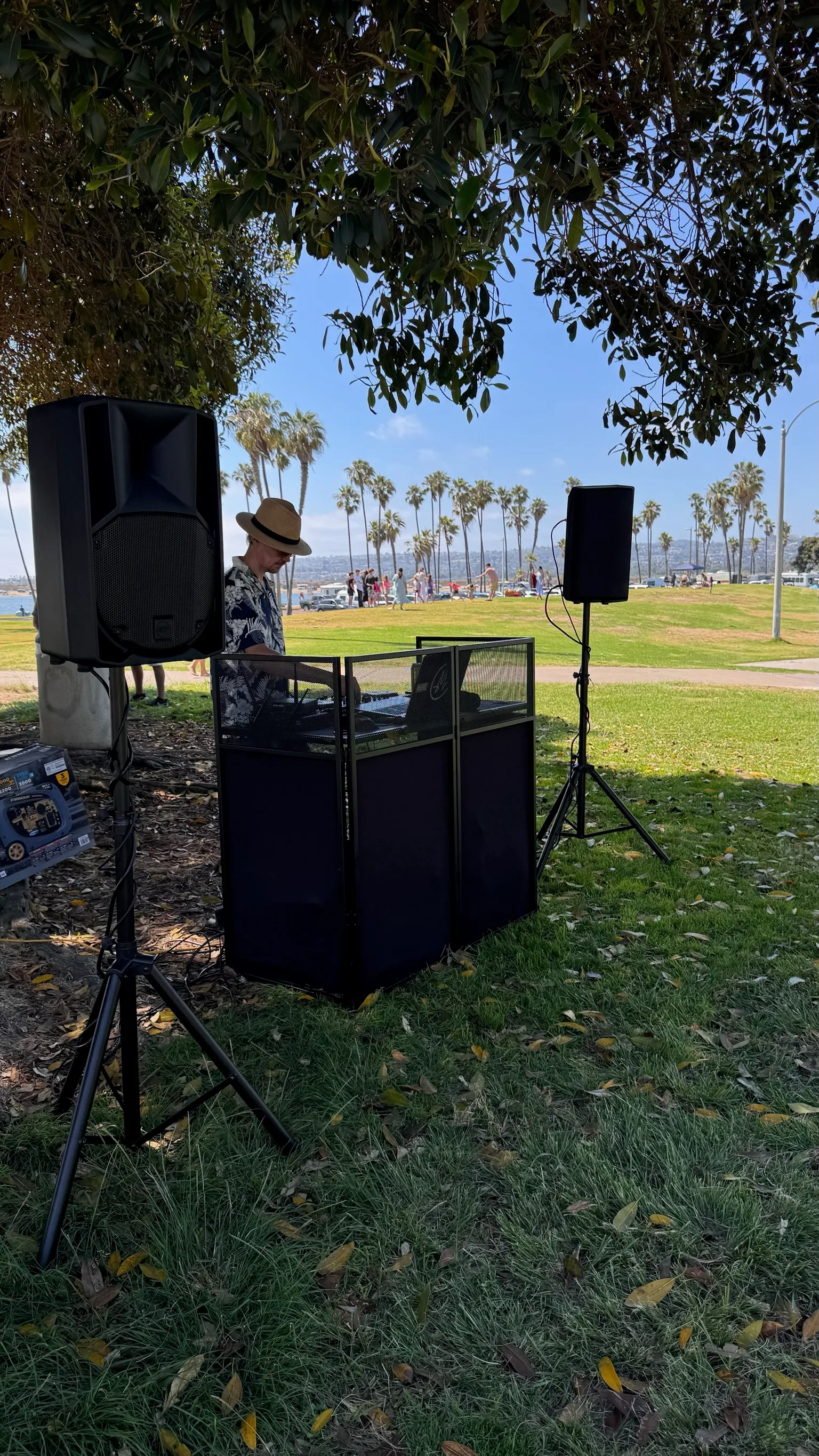 Professional DJ setup